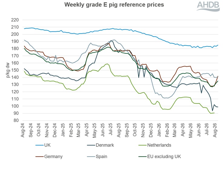 A line graph showing EU grade E pig prices from 4 August 2024 to 16 August 2026.